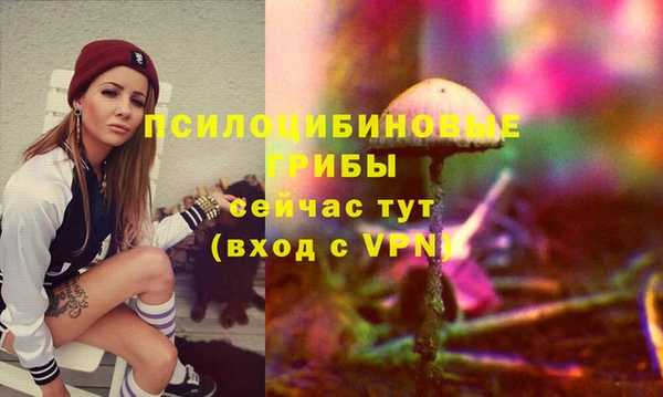 спайс Приозерск