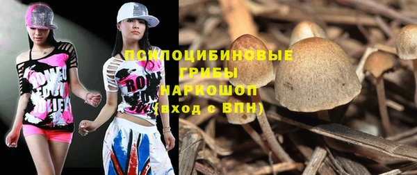 прущая мука Алзамай
