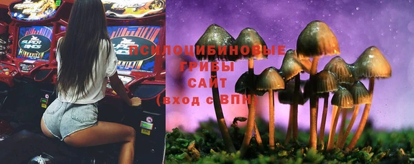 прущая мука Алзамай